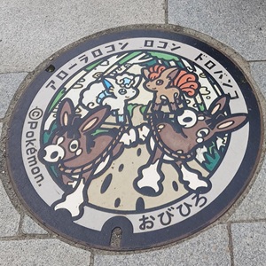 ポケふた　帯広市Ver.